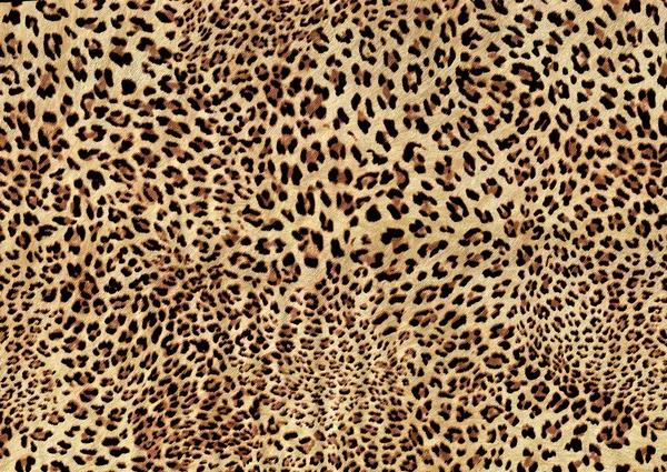 豹毛纹理的抽象设计 — 图库照片