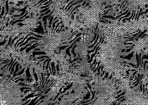 Elvont Zebra Bőr Textúra Tervezés — Stock Fotó