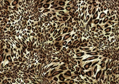 Soyut egzotik leopar deri dokusu