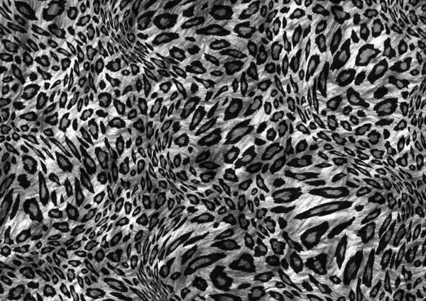 abstract exotic leopard skin texture