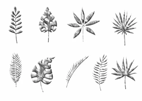 Premium Vector | Black and white set of leaves with names in english  cartoon visual dictionary for kids about trees