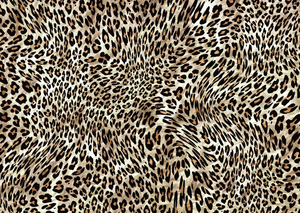 abstract exotic leopard skin texture