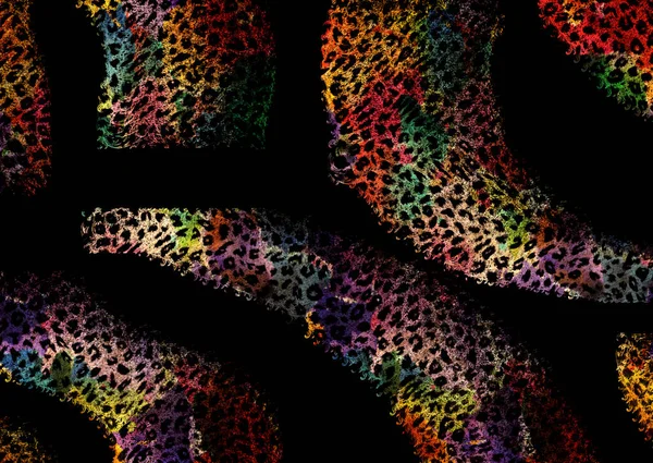 Abstract Exotic Animal Skin Texture — Stock Photo, Image