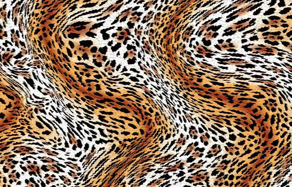 Abstracto Exótico Piel Leopardo Textura —  Fotos de Stock