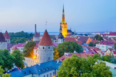 Ünlü ve Avrupa, Tallinn merkezi antik şehirlerinden biri. Toompea tepeden mavi Hour.Horizontal görüntü sırasında yapılan resim
