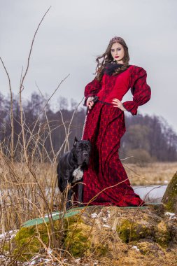 Sanat Fotoğrafçılık. Crow'la beraber Kırmızı elbiseli güzel peri prenses