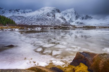 Lofoten'de Karlı Dağların zirveleri ve Otlu Okyanus Kıyısı