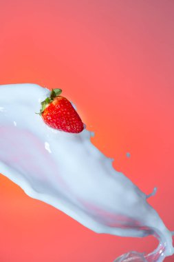 Çilek Süt Splashes Damlacıklar Akışı nda Levitating.