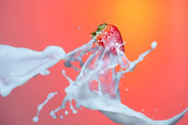 Çilek Süt Splashes Damlacıklar Akışı nda Levitating.
