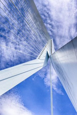 Ünlü Erasmusbrug Tel Halatların Kapatılması (Kuğu Köprüsü) 