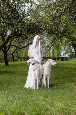 Uzun Beyaz Saçlı Kadın elf Tazı Bir Çift Holding