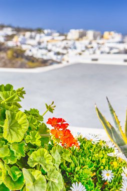 Yunanistan'da Santorini Adası'nda Thira Şehrinin Panoramik Manzarası
