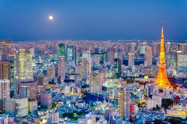 Meşhur Japon Dağıtımları. Japonya 'da Blue Hour' da Picturesque Tokyo Skyline 'ın Muhteşem Gece Manzarası ve Önplan' da Tokyo Kulesi. Yatay Resim