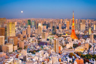 Japon Destinasyonları. Japonya 'da Mavi Saat' te Tokyo Skyline 'da Tokyo Kulesi' nde Önplan 'da. Yatay Çekim