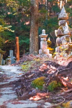 Koyasan, Japonya - 5 Kasım 2019: Koyasan Dağı Koya 'daki Okunoin Mezarlığı' nda 1200 yıllık Japon Shingon Budizm Merkezi ile UNESCO Dünya Mirası Alanı olarak anıtlar