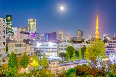 Japonya 'da Mavi Saat' te Tokyo 'nun Gece Görüşü ve Çerçevede Tokyo Kulesi. Yatay Görüntü