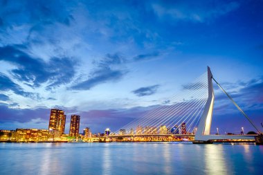 Hollanda Seyahat Varış Yeri. Limanın önündeki Rotterdam 'da ünlü Erasmusbrug (Kuğu Köprüsü) Gece Manzarası. Alacakaranlıkta Yap 'ı çek. Yatay Resim