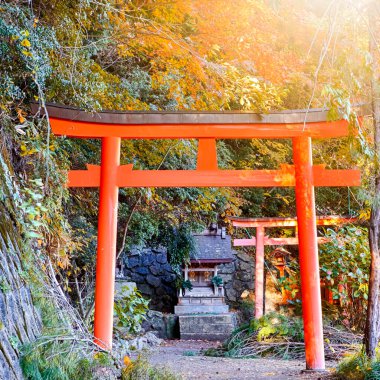 Japonya Seyahat Kaderi. Geleneksel Red Torii Gates ve Walkway To Shrine Japonya 'daki Koyasan Dağı' nda sonbaharda. Kare Resim