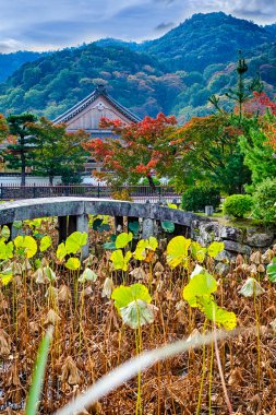 Foregorun 'da Shinto Tapınağı ve Kırmızı Akçaağaç ağaçlı geleneksel Japon manzarası. Dikey Görüntü