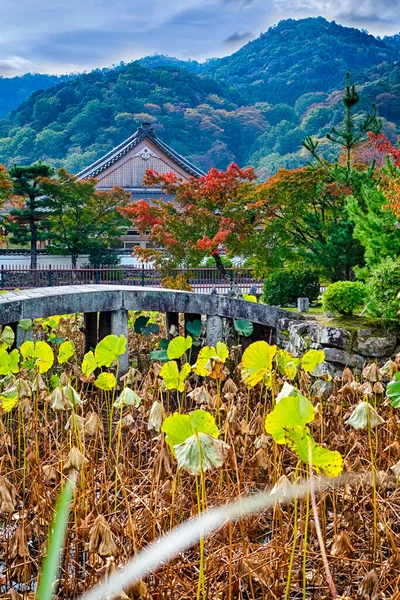 Foregorun 'da Shinto Tapınağı ve Kırmızı Akçaağaç ağaçlı geleneksel Japon manzarası. Dikey Görüntü