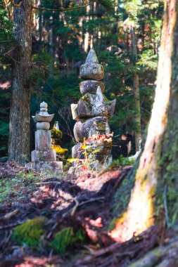 Koyasan, Japonya - 5 Kasım 2019: Koyasan Dağı Koya 'daki Okunoin Mezarlığı' nda 1200 yıllık Japon Shingon Budizm Merkezi ile UNESCO Dünya Mirası Alanı olarak anıtlar
