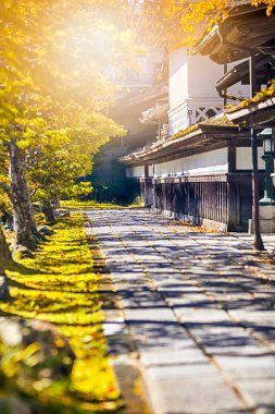 Japonya 'daki Kutsal Koyasan Dağı' ndaki Manastır girişinin yanında Kızıl Akçaağaç ağaçları var. Dikey Resim Kompozisyonu
