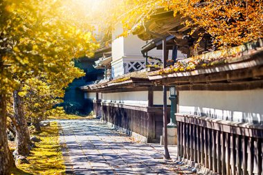 Japonya 'daki Kutsal Koyasan Dağı' ndaki Manastır girişinin yanında Kızıl Akçaağaç ağaçları var. Yatay Resim Kompozisyonu