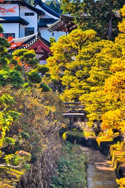 Geleneksel Kızıl Akçaağaç ağaçları Japonya 'daki kutsal Koyasan Dağı' nda manastır girişinde. Dikey Resim Kompozisyonu