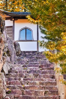 Geleneksel Budist Manastırı Merdivenleri Japonya 'daki Koyasan Dağı' nda. Dikey Görüntü