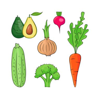 sebze çizimler seti - avokado, soğan, turp, havuç, brokoli, kabak