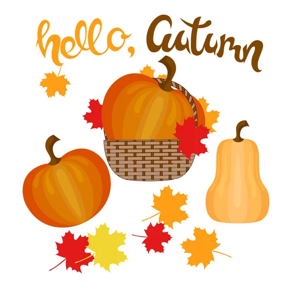 Different pumpkins in a basket and without. Hand-lettering Hello autumn. — Stock Vector