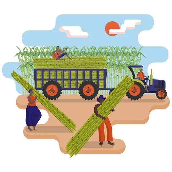 Los trabajadores agrícolas negros están recogiendo una caña de azúcar en el campo. Tractor con remolque cargado con caña de azúcar . — Vector de stock