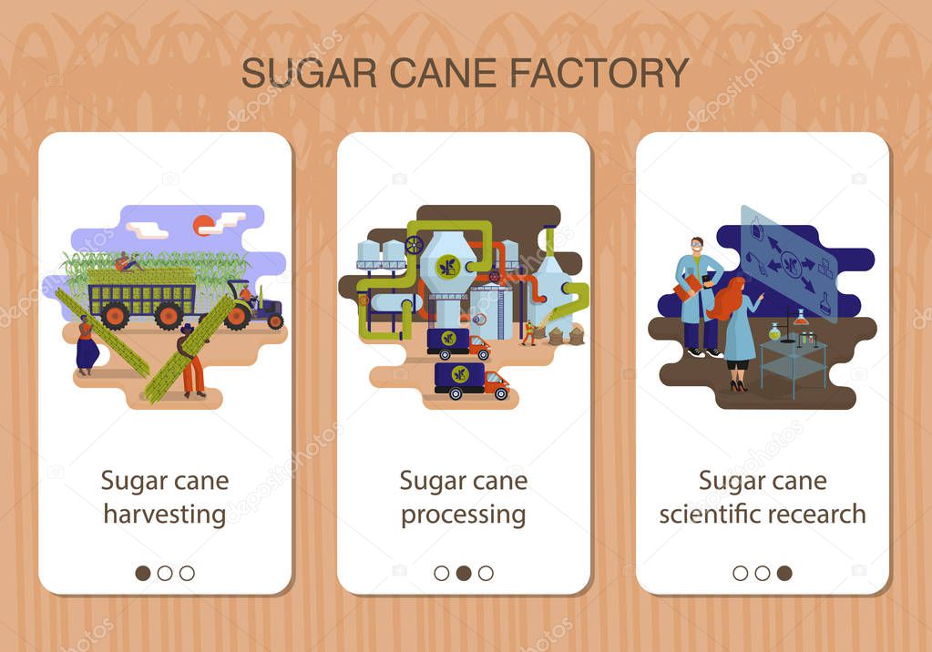 Set of mobile app pages of sugar cane factory about sugar cane harvesting, processing and scientific recearch