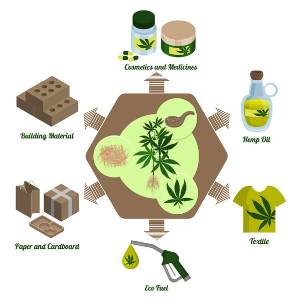 Hennepplant, cannabisblad en hennepverwerkingsproducten. Verwerking. Infographics — Stockvector