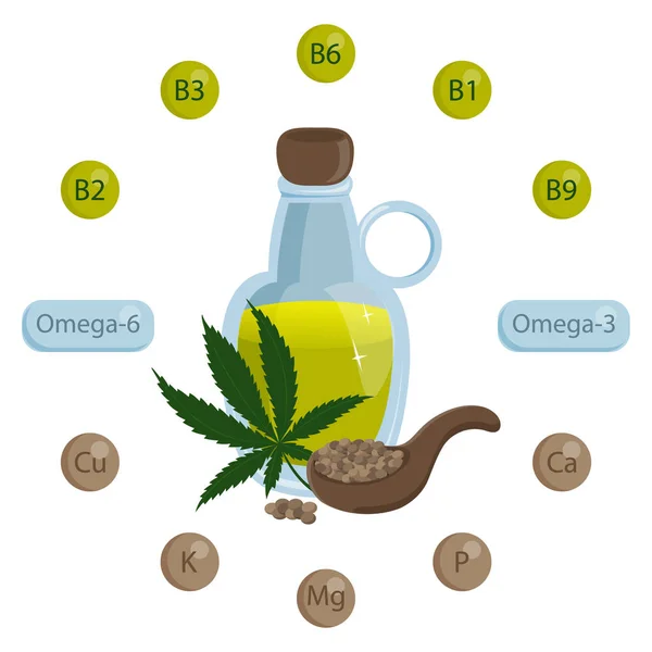 Glazen fles hennepolie en een cannabisblad en zaden. Vitaminen en mineralen. Infographics — Stockvector