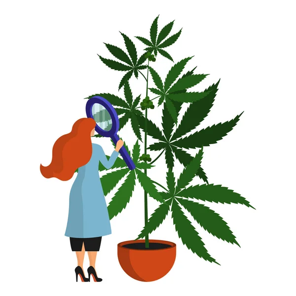Vrouwelijke wetenschapper, botanicus bestudeert en analyseert de cannabisplant in het laboratorium. Geïsoleerd object op witte achtergrond — Stockvector
