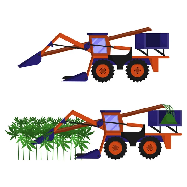 Комбайн, комбайн, производит механизированный сбор технических конопли в поле — стоковый вектор