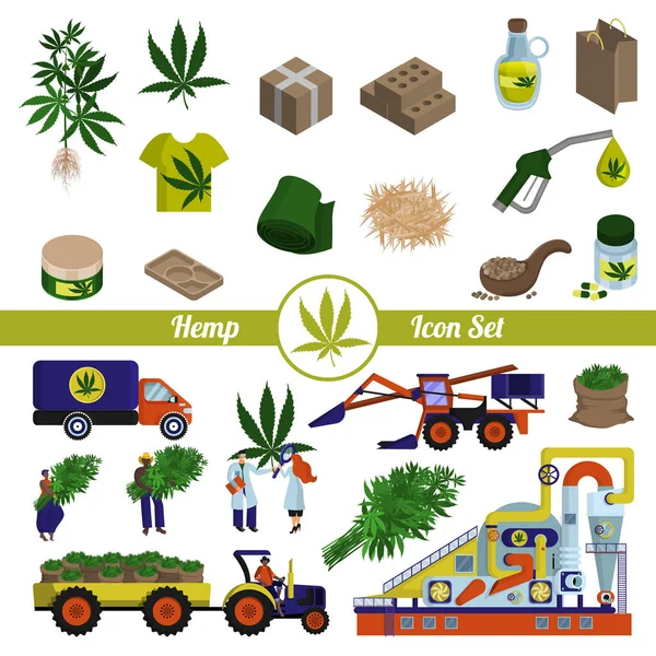 Hennep en cannabisproducten. Productie en verwerking — Stockvector