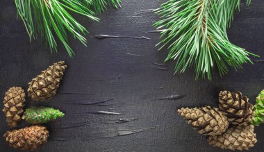 Çam motifli siyah bir arka plan.