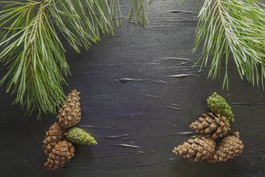 Çam motifli siyah bir arka plan.