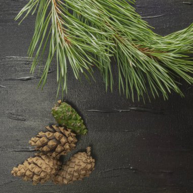 Çam motifli siyah bir arka plan.