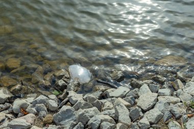 Doğal ortamda plastik paketleme.