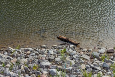Gölet kayalık kıyı.