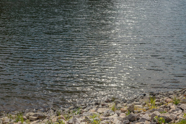 The rocky shore of the pond.