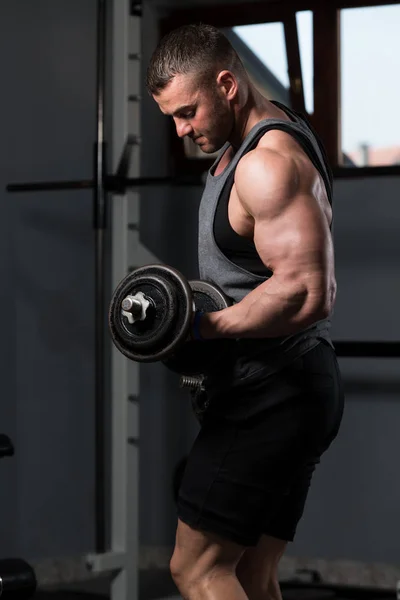 Man Werkt Uit Biceps Een Fitnessruimte Dumbbell Concentratie Krullen — Stockfoto