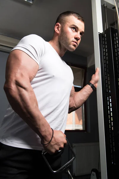 Man Gym Exercising His Biceps Machine Cable Gym — Stock Photo, Image