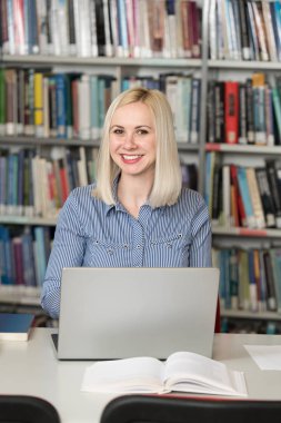 Sınav hazırlama ve dersler okul kütüphanesinde öğrenme - Laptop ve Gözat Internet üzerinde araştırma kütüphanede yapma öğrenci