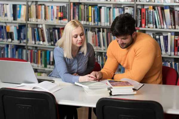 Bazı okul işi kütüphanede bir dizüstü bilgisayar ile bir çekici öğrenci portresi