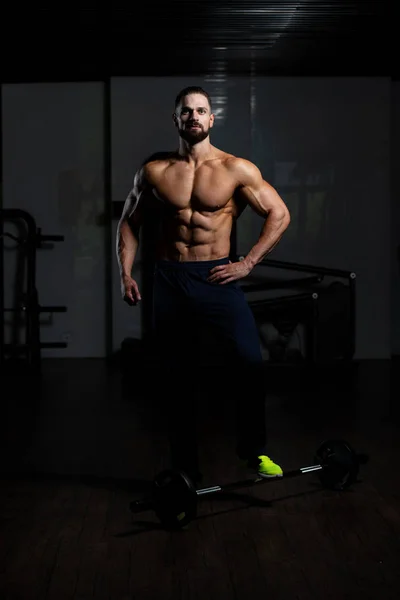 健美中心健身房穿着运动服的英俊个人培训师形象的研究 — 图库照片