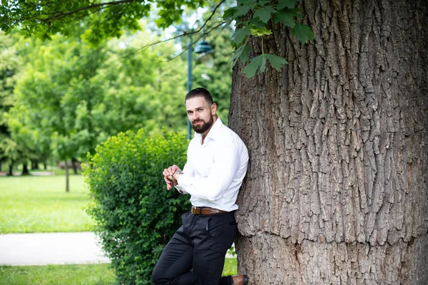 Portrait Confident Businessman While Standing Outdoors Park — Stock Photo, Image